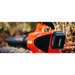 DPB-310
