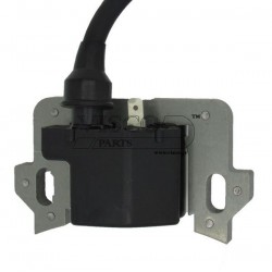 ΗΛΕΚΤΡΟΝΙΚΗ HONDA GCV 135-GCV 160 ΗΛΕΚΤΡΟΝΙΚΗ HONDA GCV 135-GCV 160