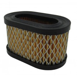 ΦΙΛΤΡΟ ΑΕΡΟΣ B&S QUANTUM 5 HP ΦΙΛΤΡΟ ΑΕΡΟΣ B&S QUANTUM 5 HP